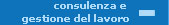 Consulenza e gestione del lavoro